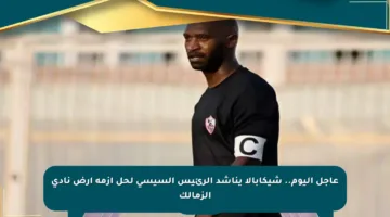 عاجل اليوم.. شيكابالا يناشد الرئيس السيسي لحل أزمة أرض نادي الزمالك